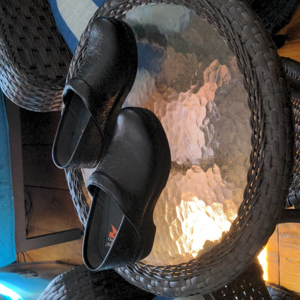 Woman dansko clogs